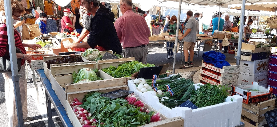 Foire Mensuelle à Réquista