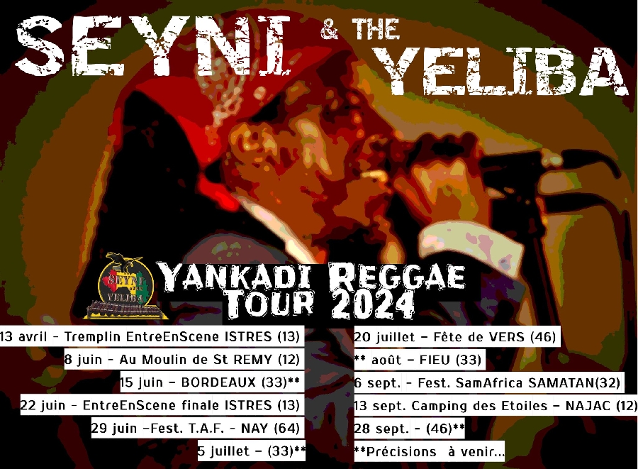 Concert de Seyni & The Yeliba au camping des é ...