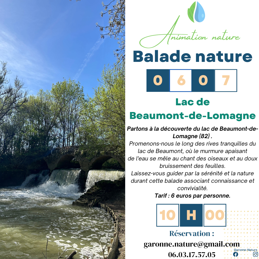 Balade nature au lac de Beaumont-de-Lomagne