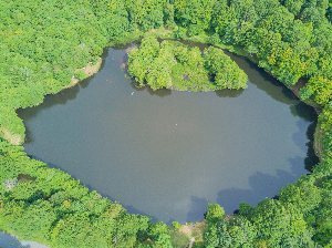 Pêche au lac des Picades à Brameloup