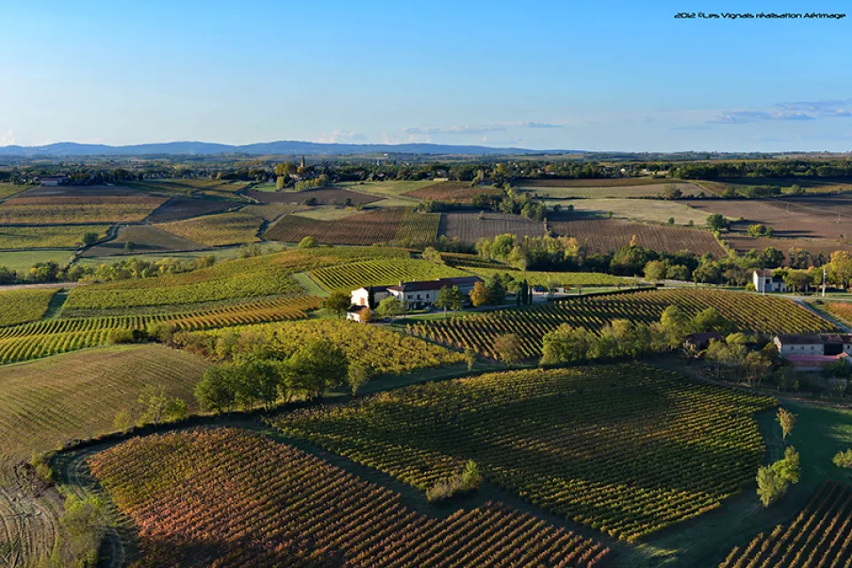 Un vignoble gaillacois à Cestayrols