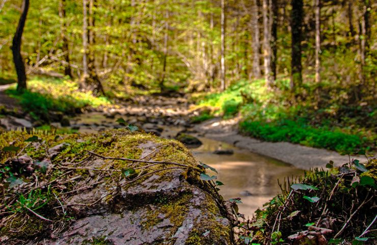 The "Argence" circuit: in the footsteps of Garence