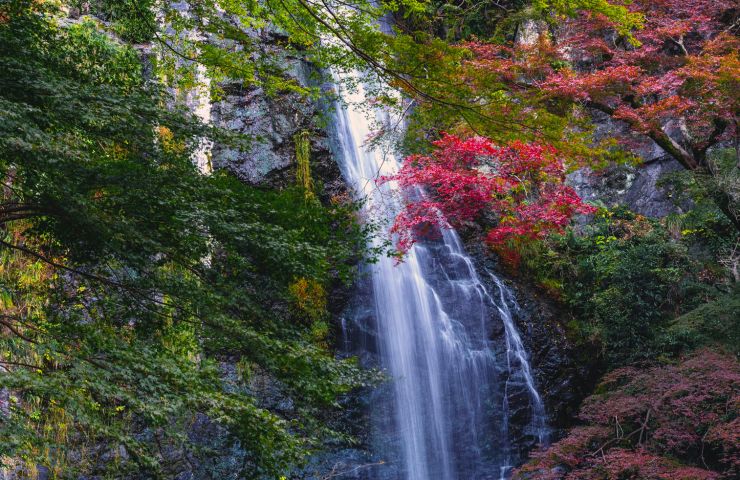 The Saut du Chien waterfall