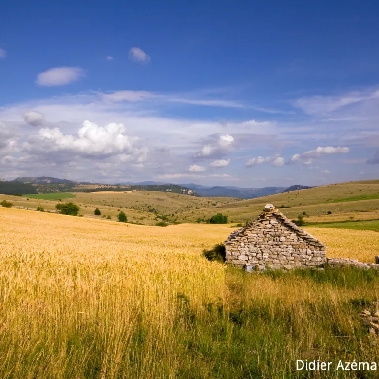 The Causse de Sauveterre