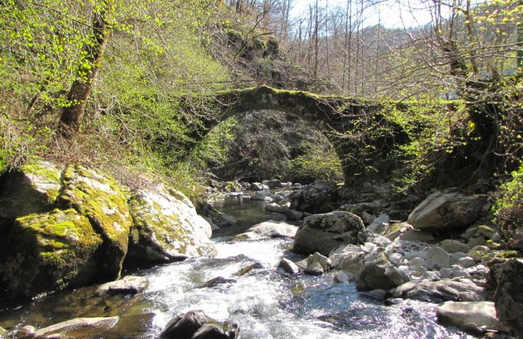 The Boraldes of Aubrac