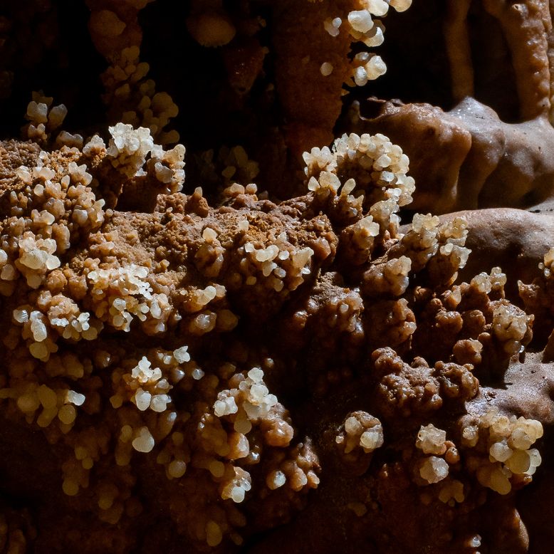 Grotte du Bosc