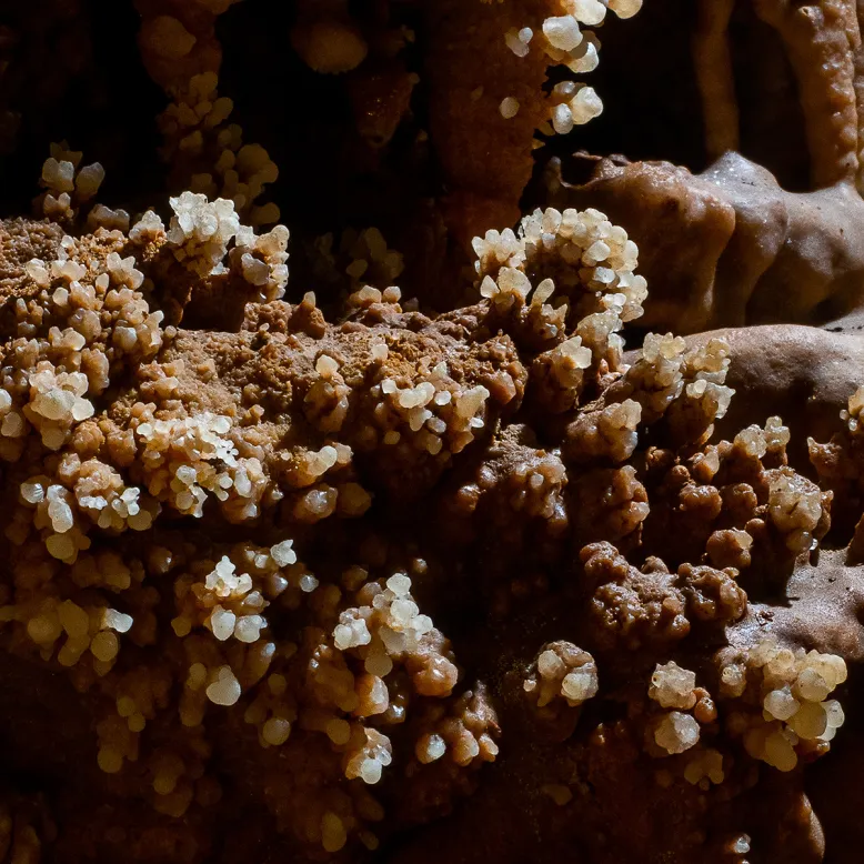 Bosc cave