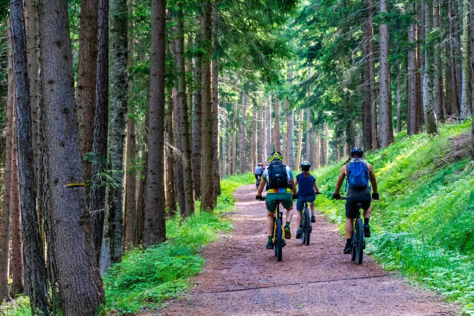 Electric bike rental in Sorèze for the whole f ...