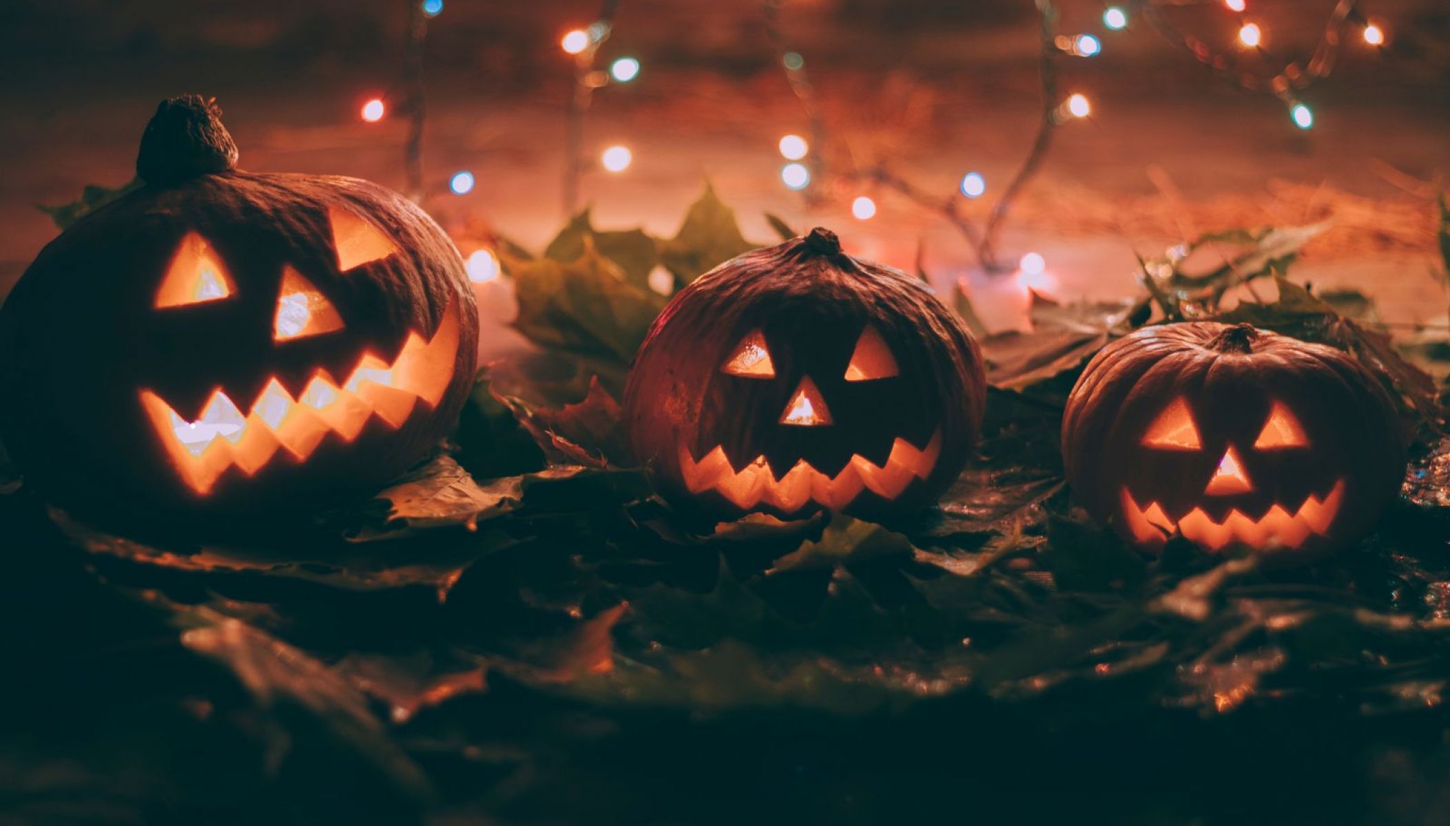 Halloween in Tarn-Aveyron, the big thrill!