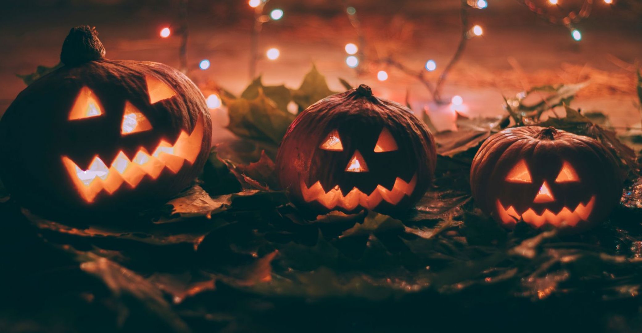 Halloween in Tarn-Ave ... Halloween in Tarn-Ave ...