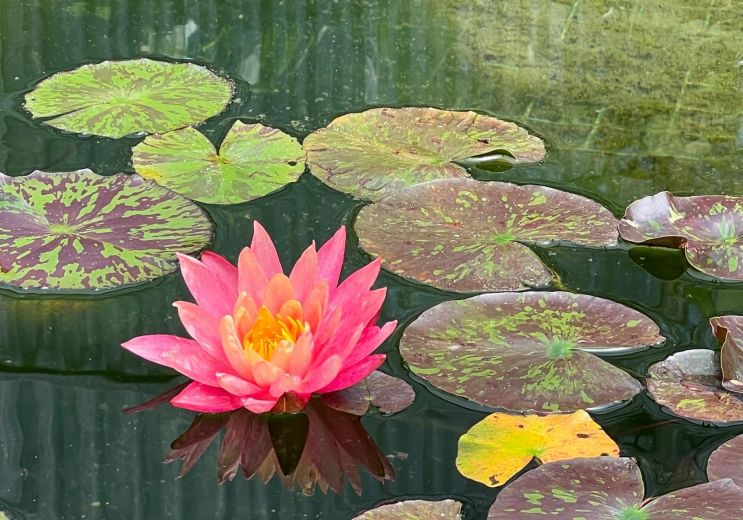 One of the most beautiful floral parks in Fran ...
