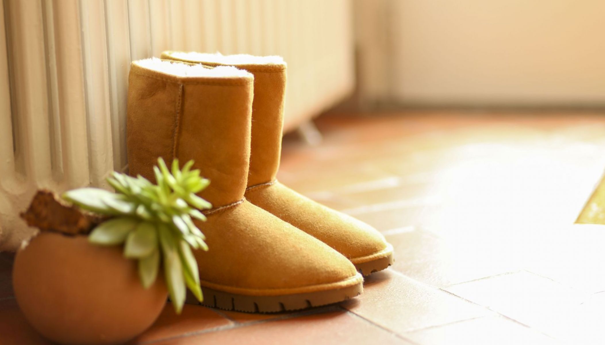 Dgrandiose, le confort incomparable d’articles en peau lainé dans le Tarn