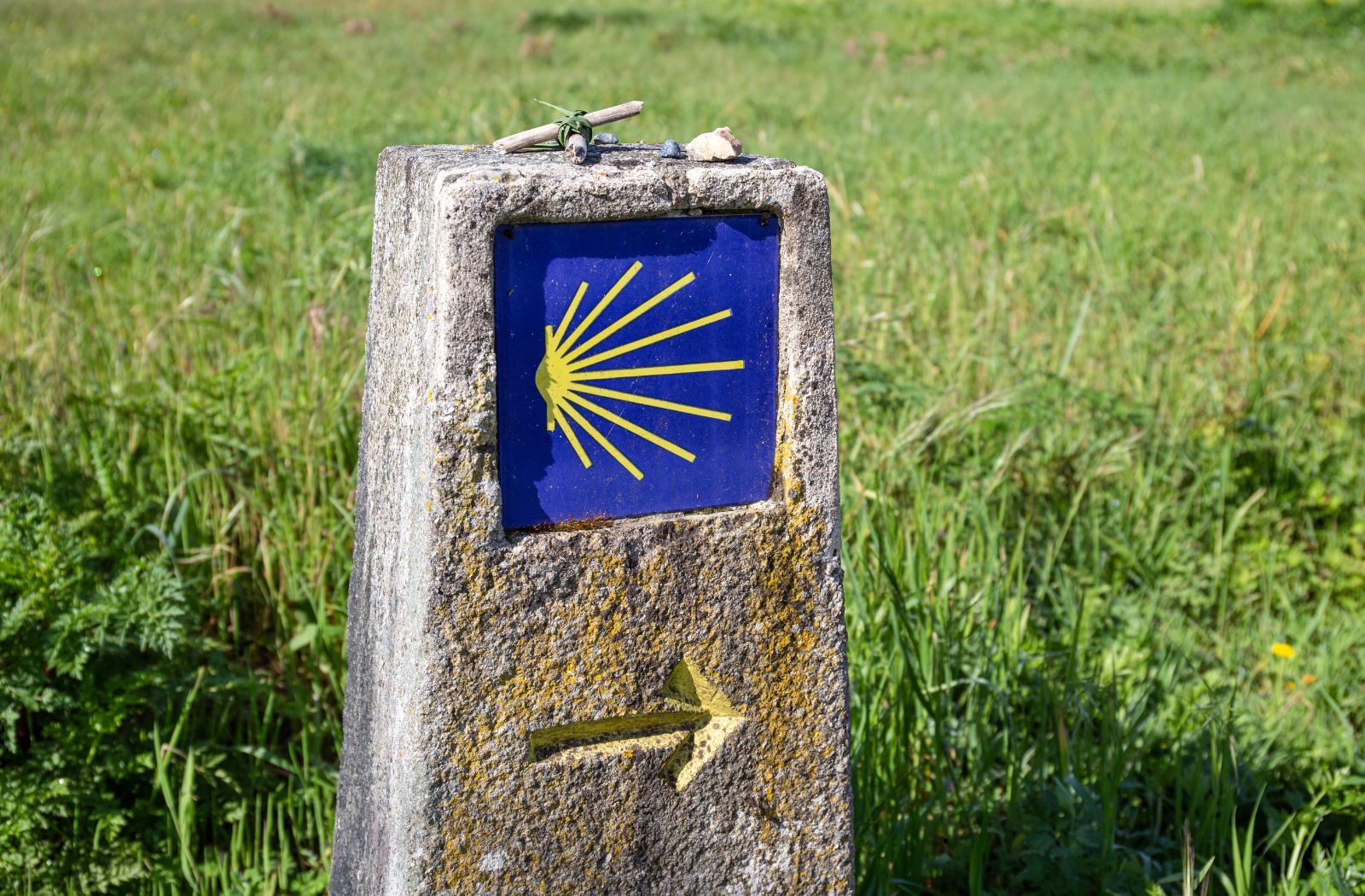 Via Podiensis, a route to Santiago de Compostela that passes through Tarn-Aveyron