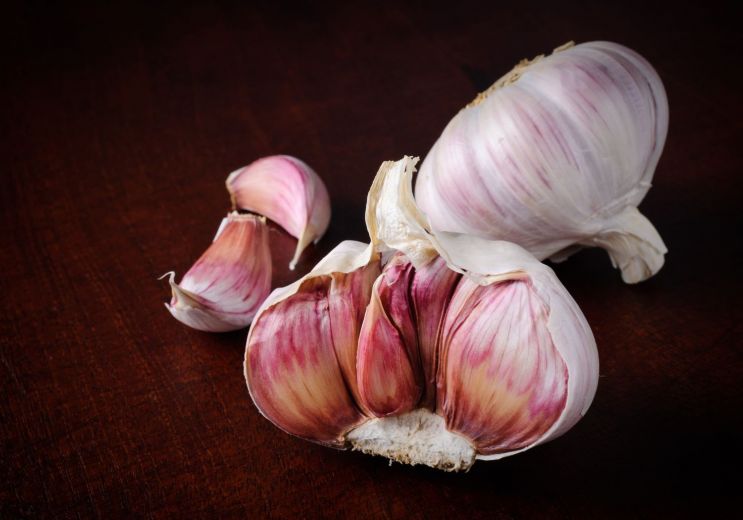 Lautrec Pink Garlic, the star of Tarn dishes