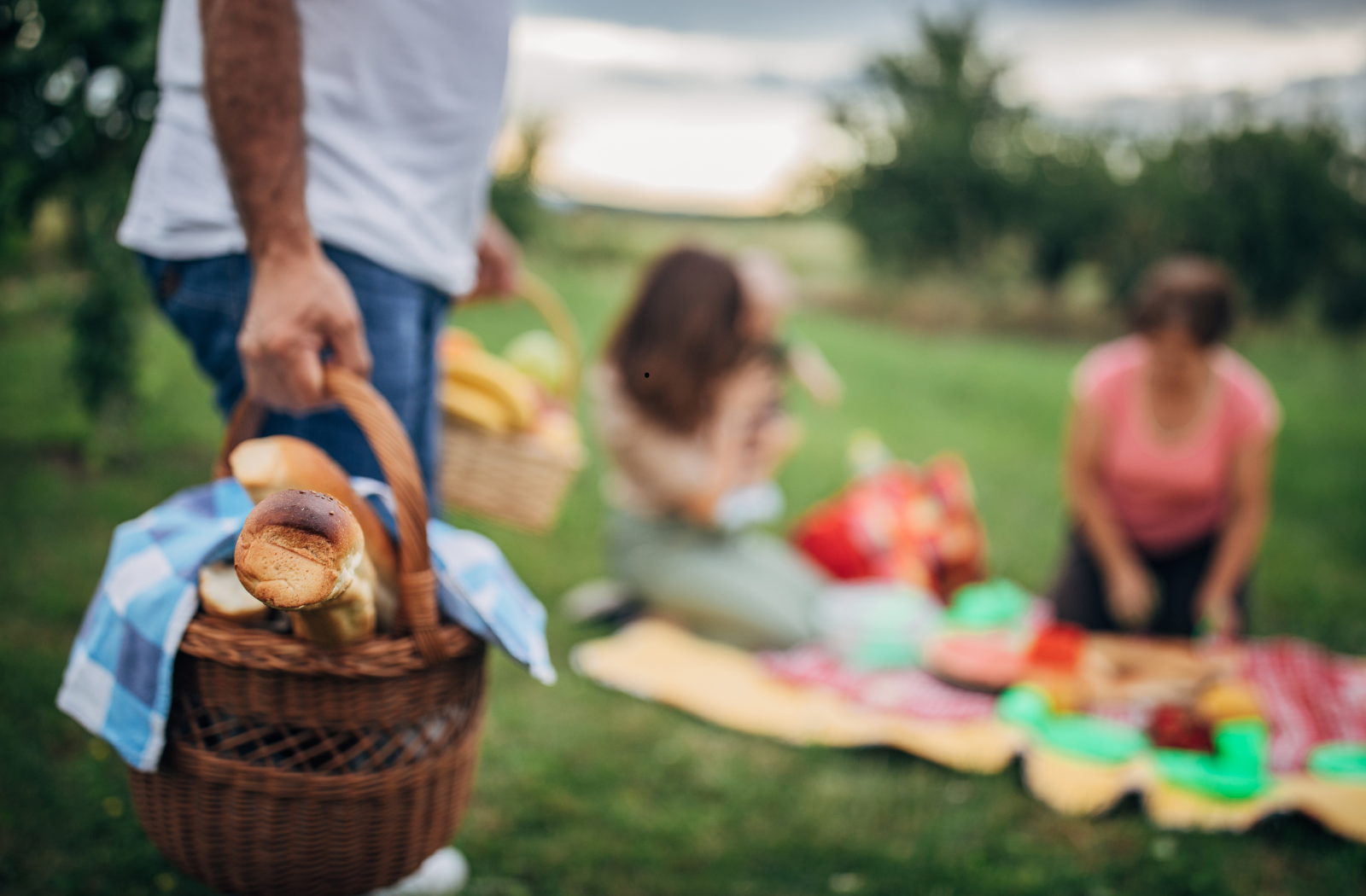 Aires de pique-nique en Aveyron : le top des spots pour une escapade gourmande