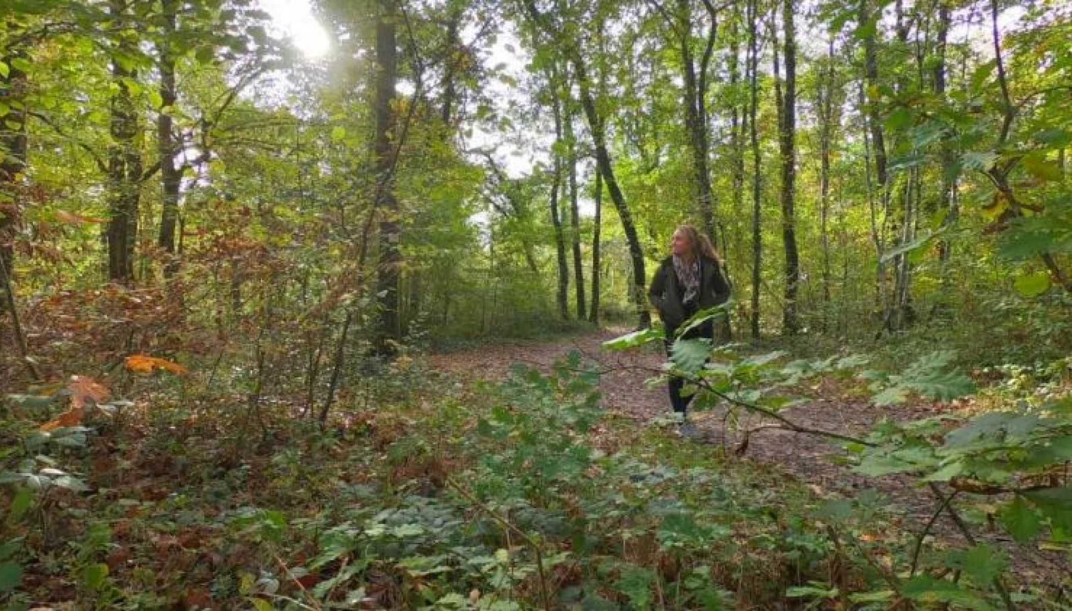 Balade d’automne dans Montech et sa forêt