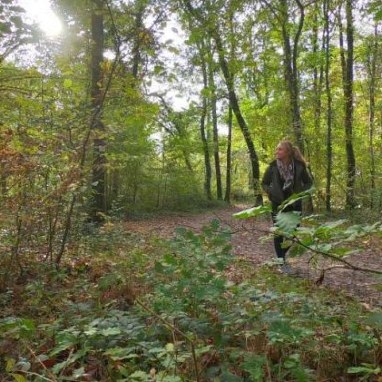Autumn stroll in Montech and its forest