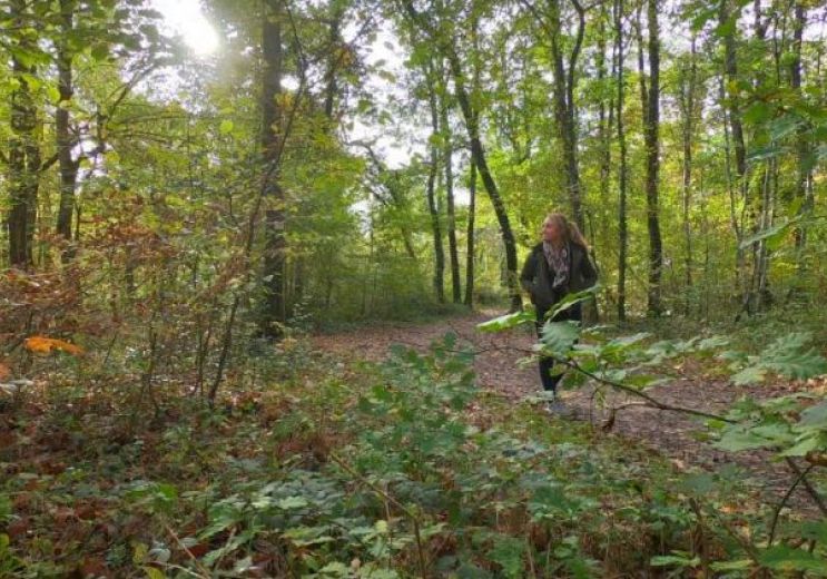 Autumn walk in Montech and its forest