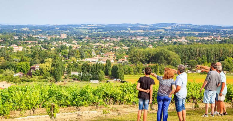 Atypical stay in the Gaillac vineyard: tasting ...