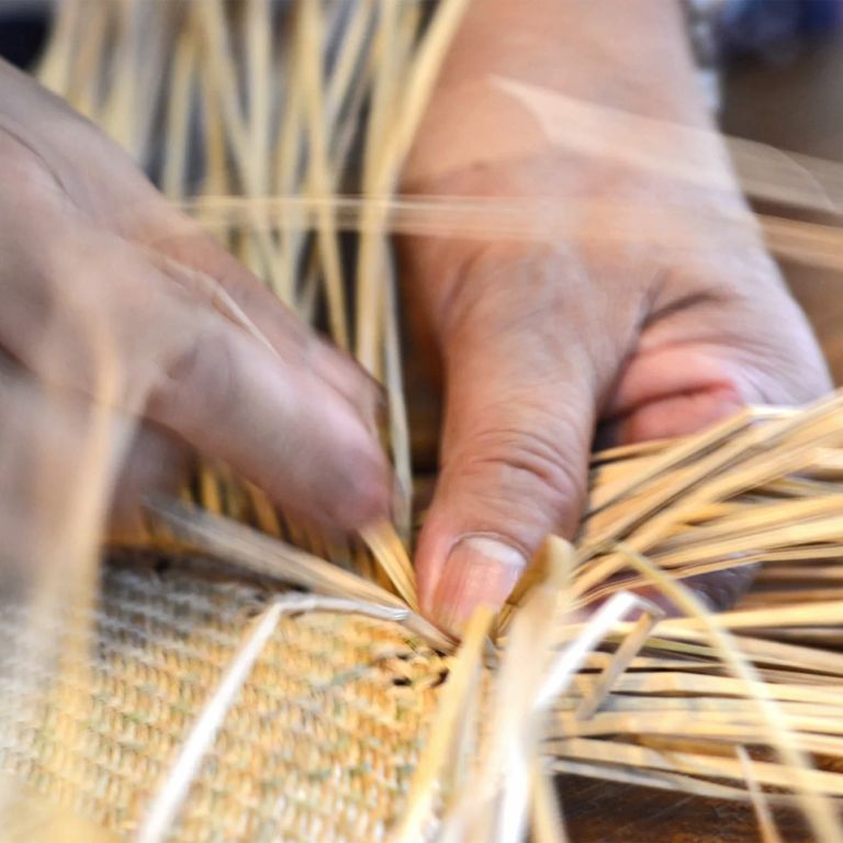 Crafts and discovering old trades in Tarn-et-G ...