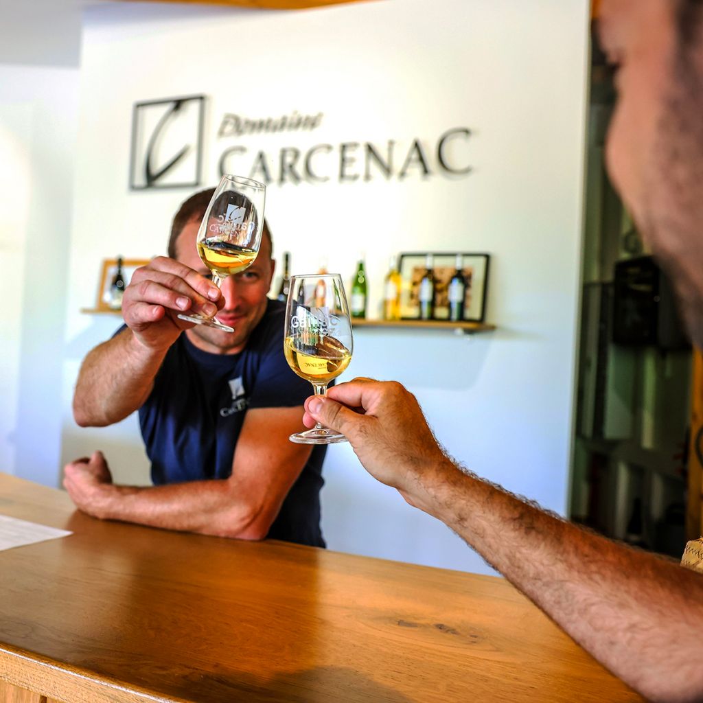 Carcenac Estate - Visit and tasting of Gaillac wines